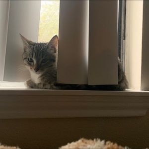 Meet your Posher, Katie